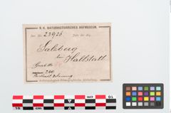 Etiketten zu Bronzebuckelamreif (NHMW-PRAE-023926)